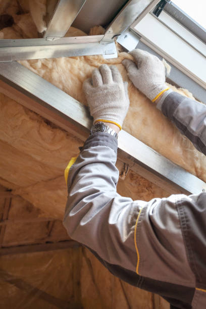 Best Commercial Insulation in Ferndale, WA